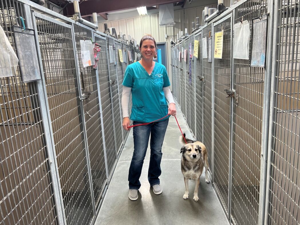Elko Animal Shelter creates loving space for dogs and cats