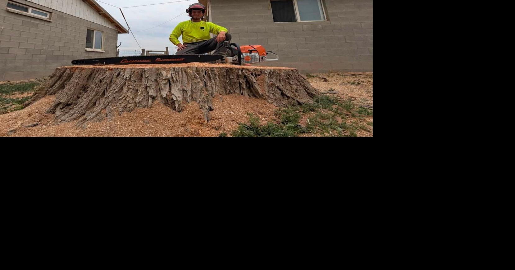 Garrett's Tree Service
