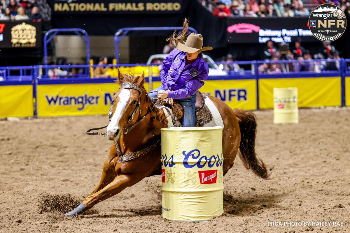 PRCA Steer Wrestling World Standings Aug. 18: Jesse Brown Moves to No. 2,  Dakota Eldridge Breaks in Top 10 - The Cowboy Channel