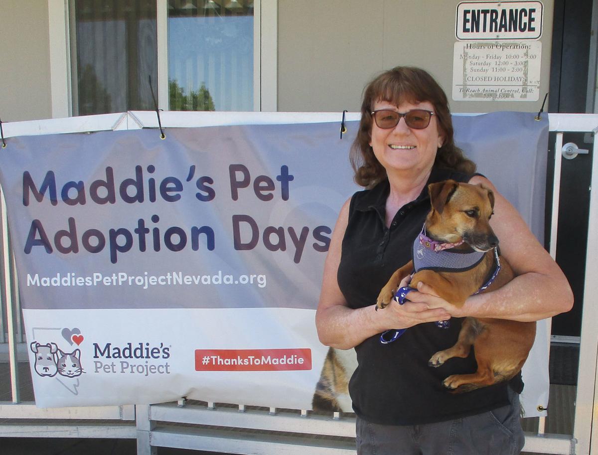 Thirteen animals adopted