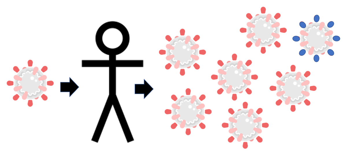 Virus variant