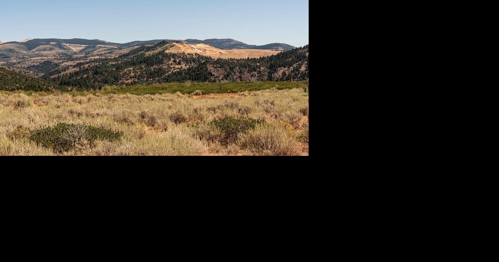 Integra working toward DeLamar construction decision