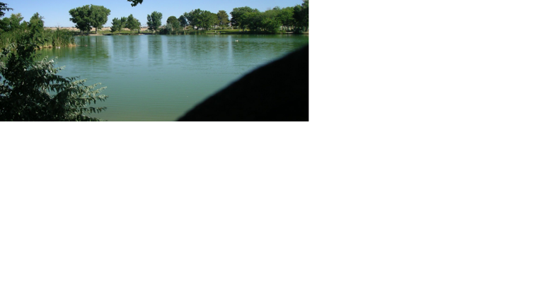 Elko County agrees to give state rights for fishing ponds - Vimarsana News