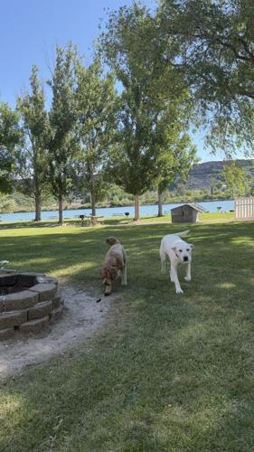 Thousand Springs RV Resort: Southern Idaho’s Hidden Waterfront Camping Gem