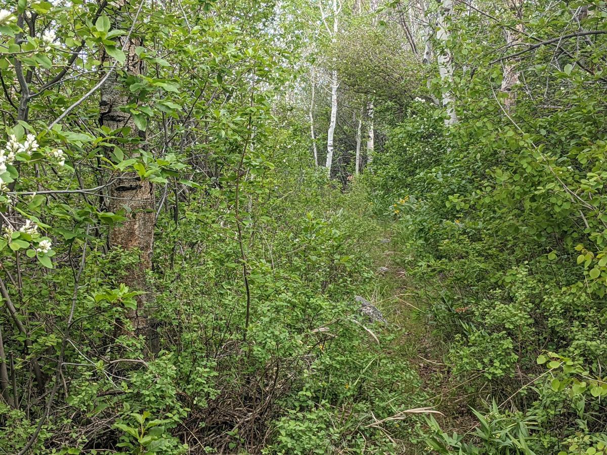 John Day Trail