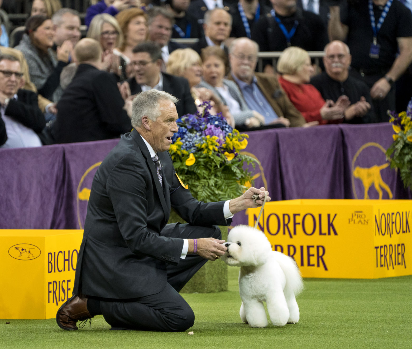 esteban farias dog handler