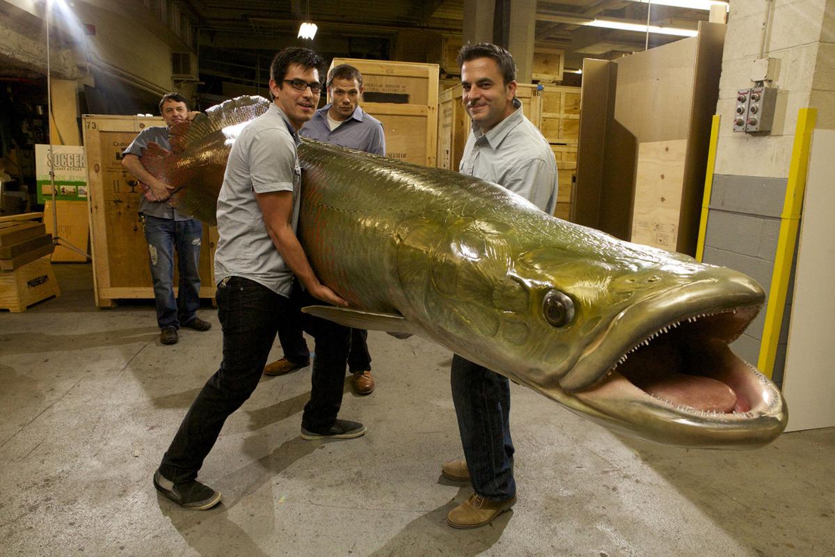 Monster Fish traveling exhibition debuts at National Geographic Museum in  D.C.