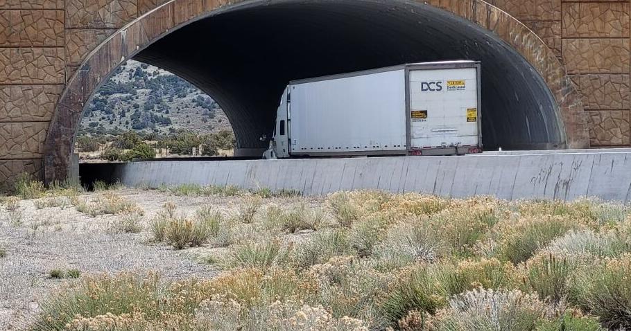 Elko County overpasses keep wildlife out of highway traffic - Vimarsana News