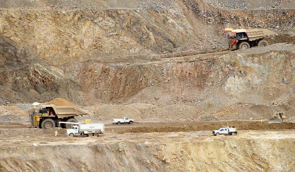 Marigold increases production, hopes to expand
