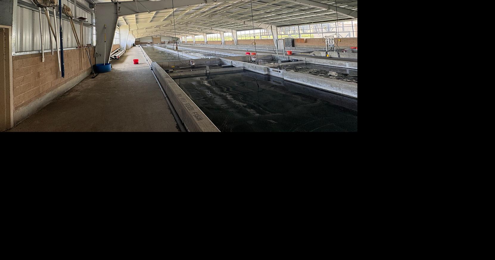 Gallagher State Fish Hatchery