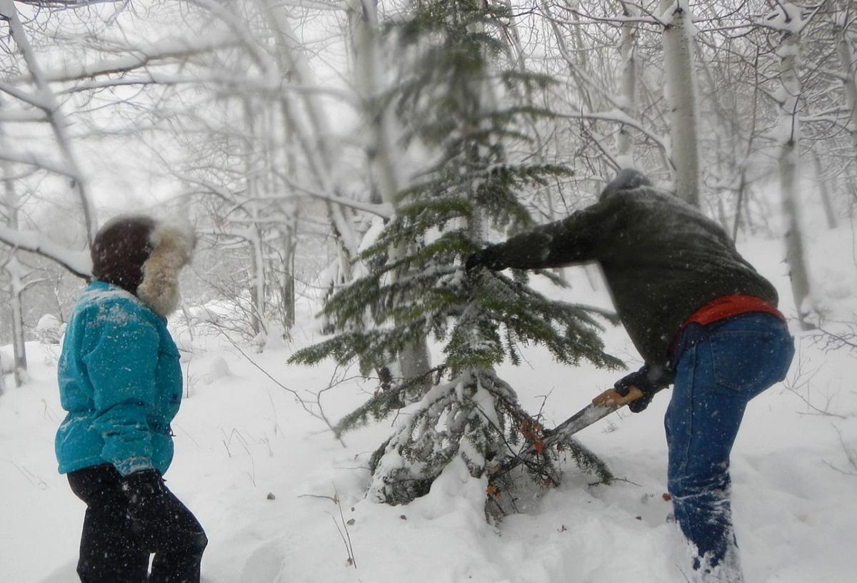 It's about tradition families preserve memories harvesting their own