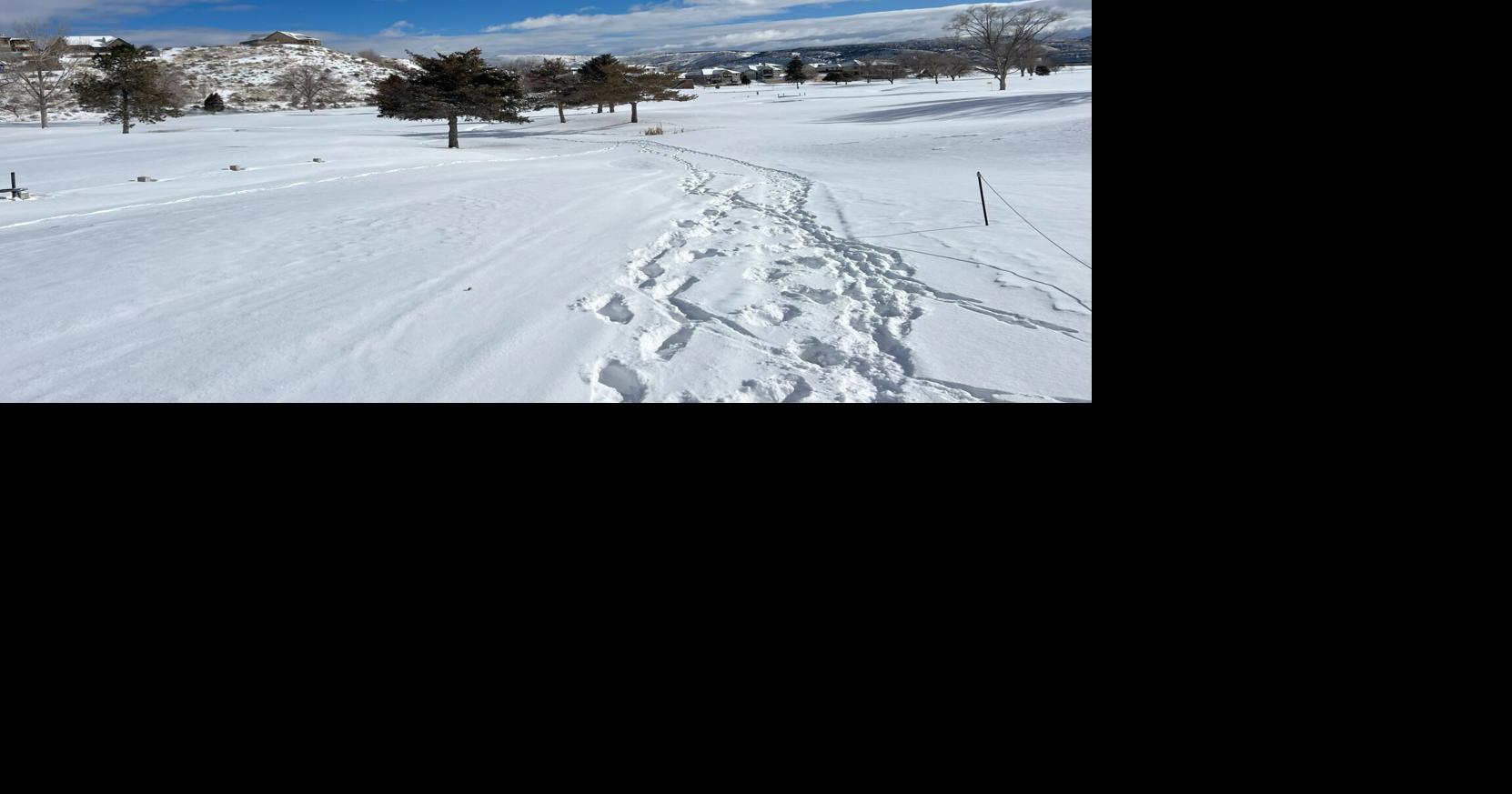 Golf course wide view