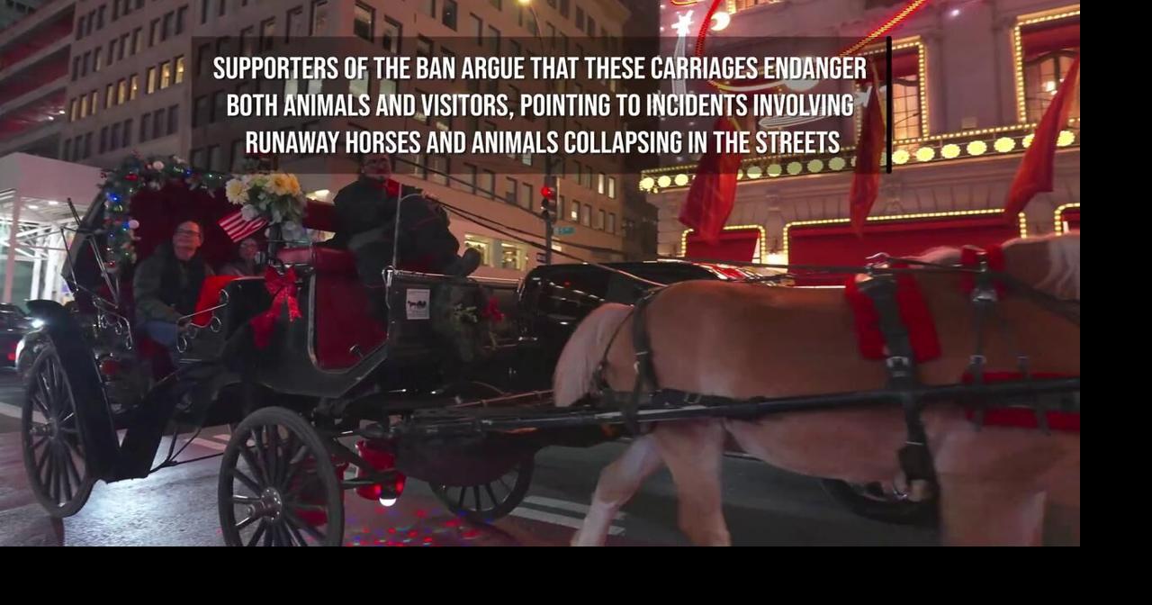 New York Votes to Ban Central Park Horse-Drawn Carriages in 2028.