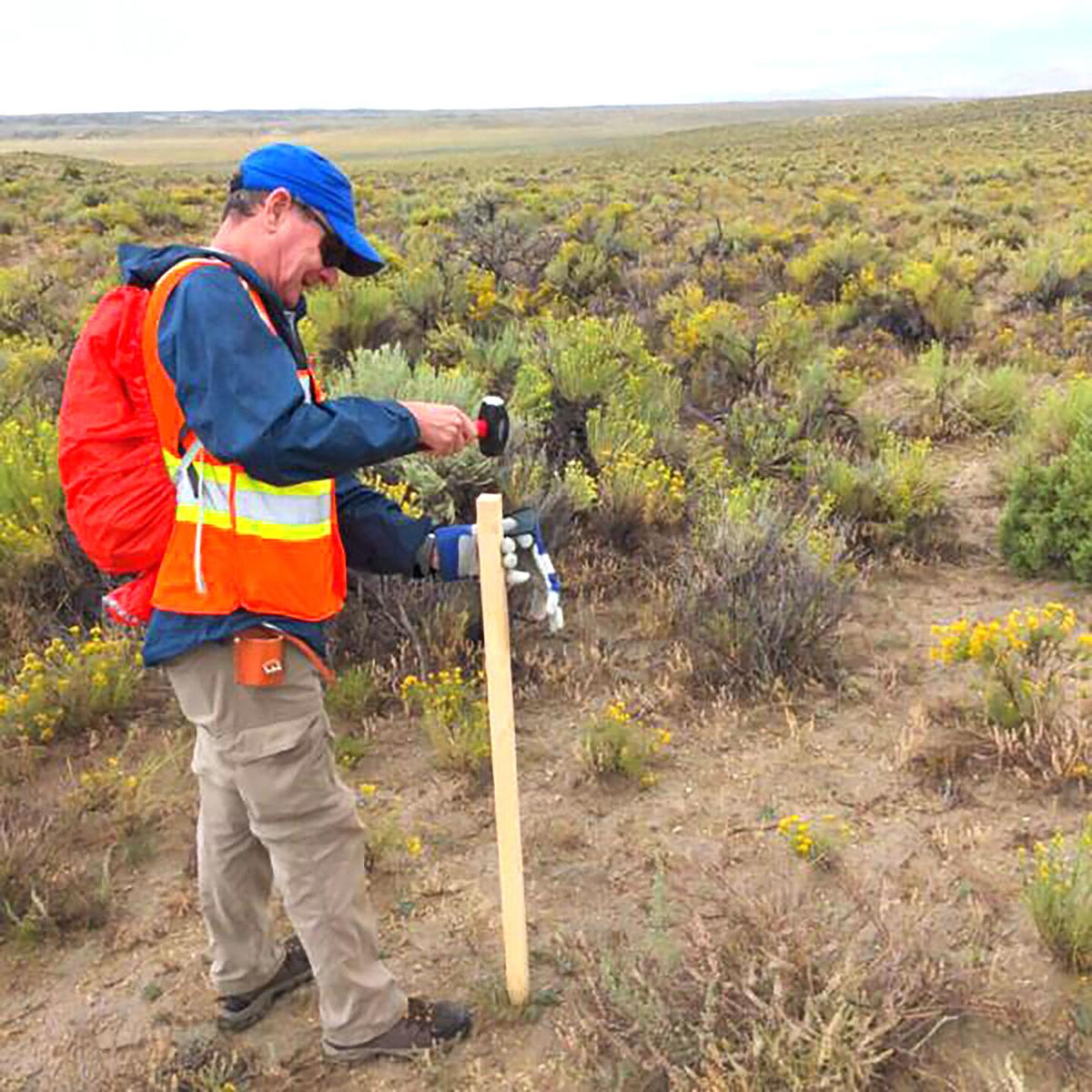 Peloton expands lithium claims in Elko County