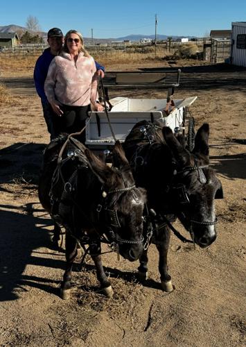 Burro team