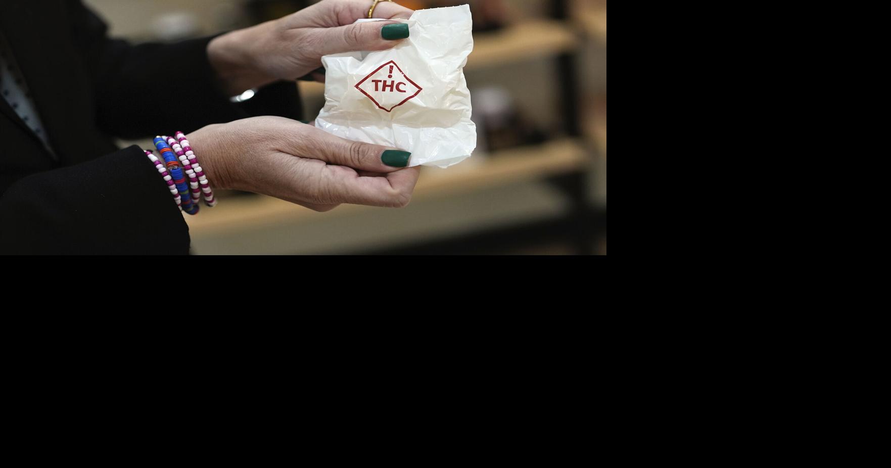 Election 2024 Florida Ballot Measures