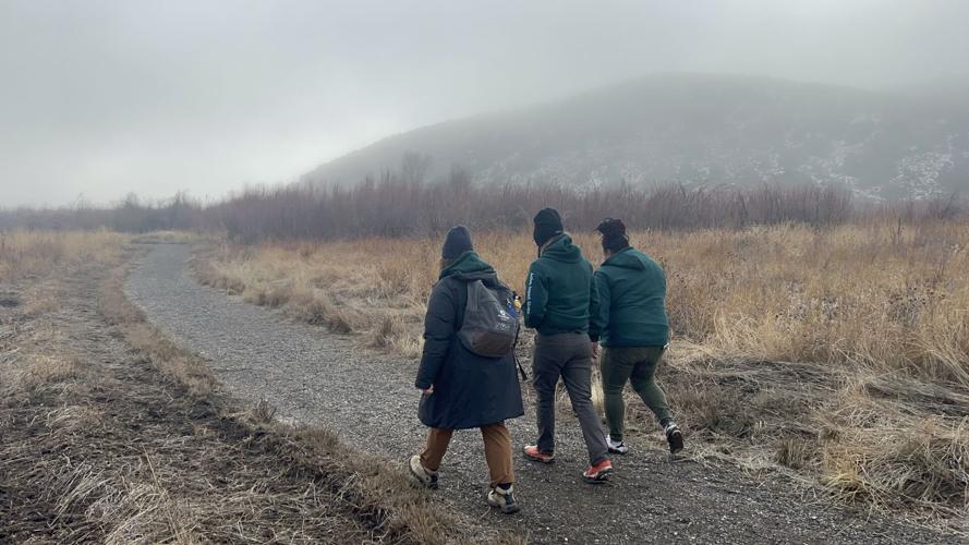Into the fog