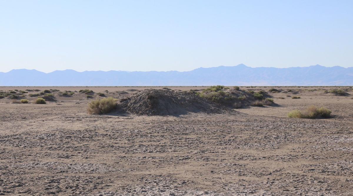 Apollo Astronauts Conducted Desert Survival Training North