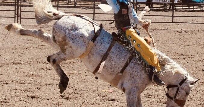 Fallon High School Rodeo and Junior High Rodeo results