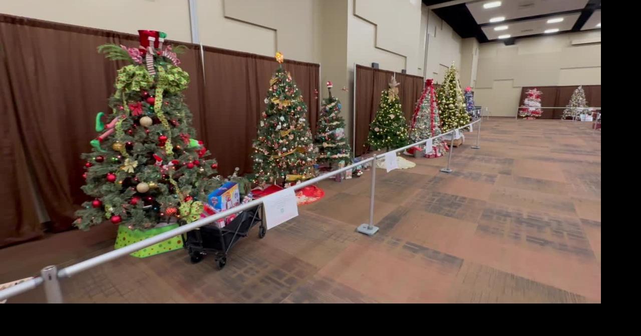 Elko event donations support nonprofits, Festival of Trees applications open Sep 9, 2026 1 min ago