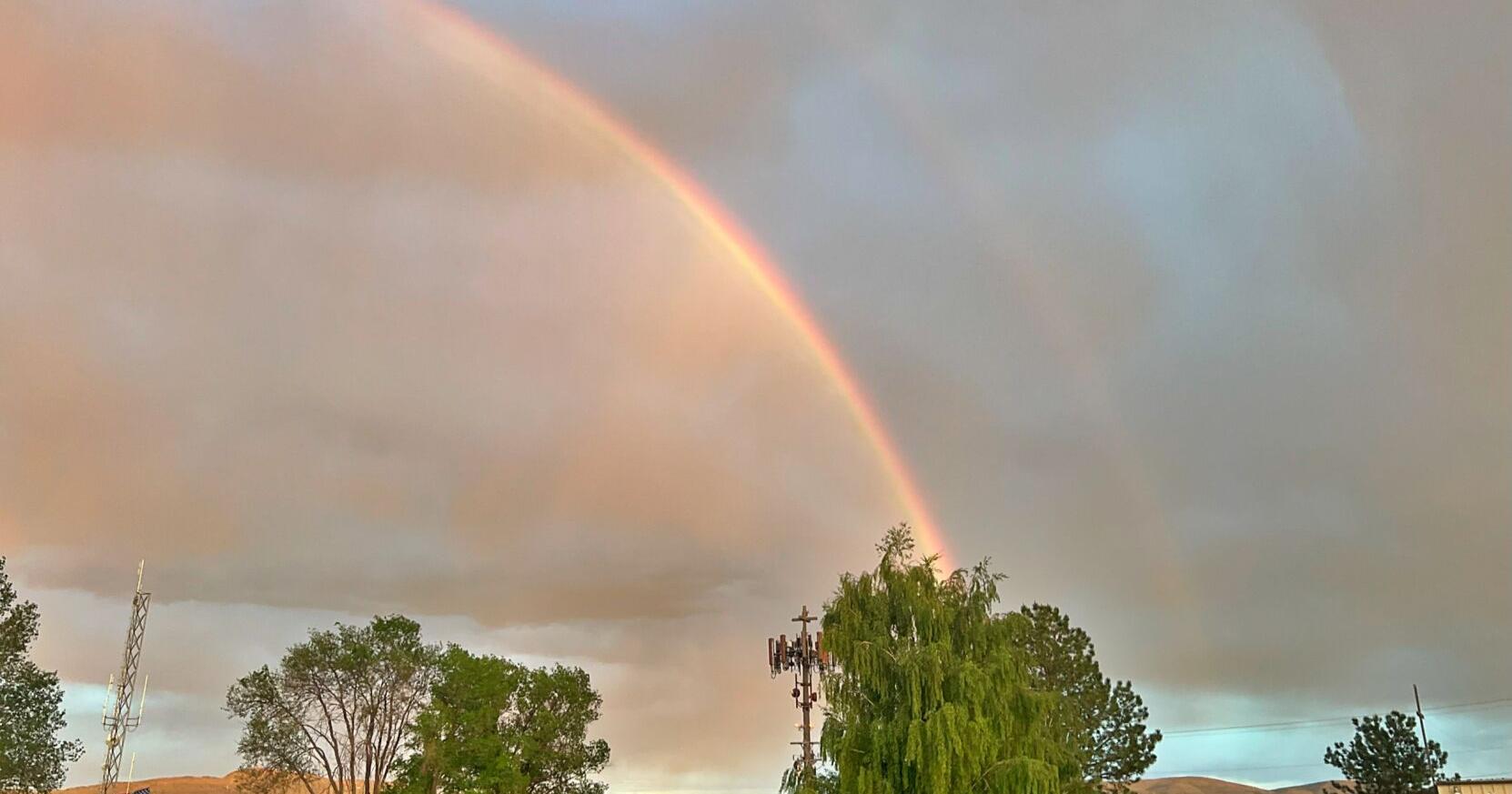Here's what to know about thunderstorm season in Elko - Vimarsana News