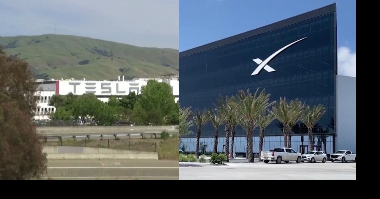 Elon Musk says SpaceX-Tesla merger is 'a good idea'
