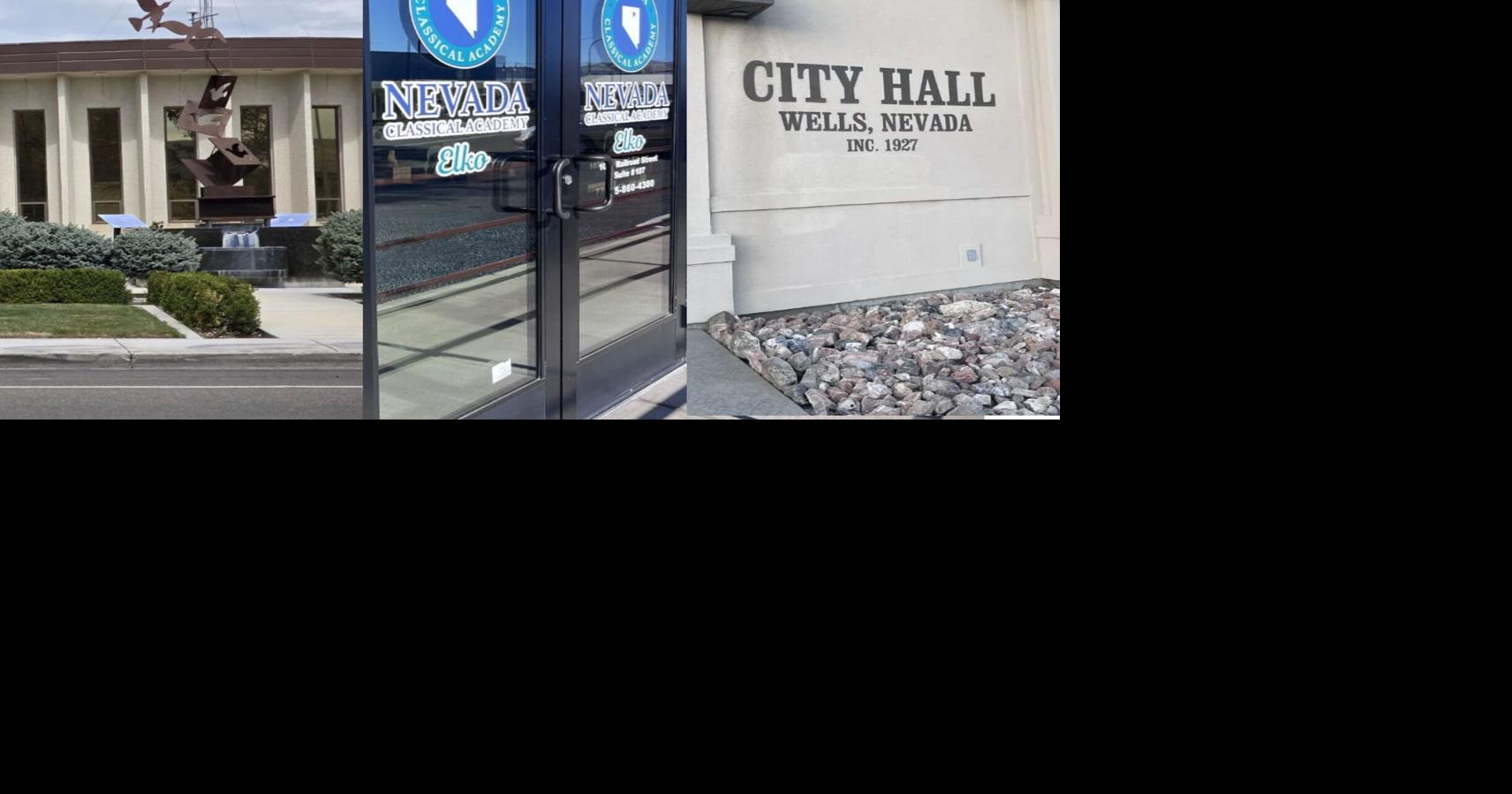 Elko County gov and school board meetings this November
