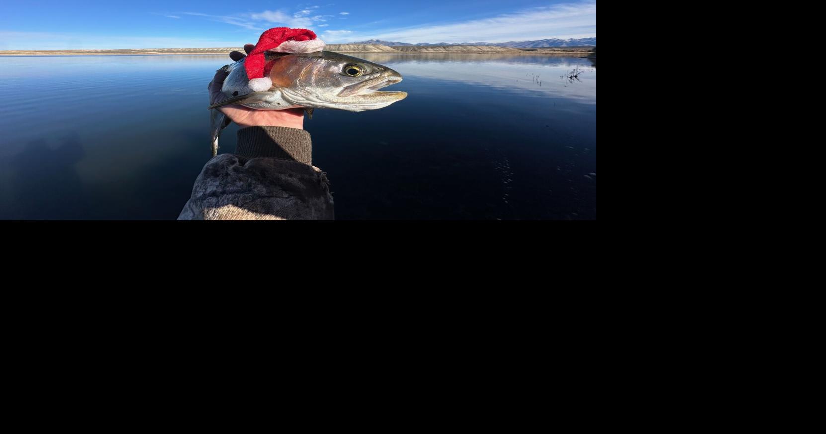 Joe's Fishing Hole Doucette: Fly rod maintenance will make fishing next year that much easier JOE DOUCETTE Elko Fly Shop Dec 23, 2025 1 min ago