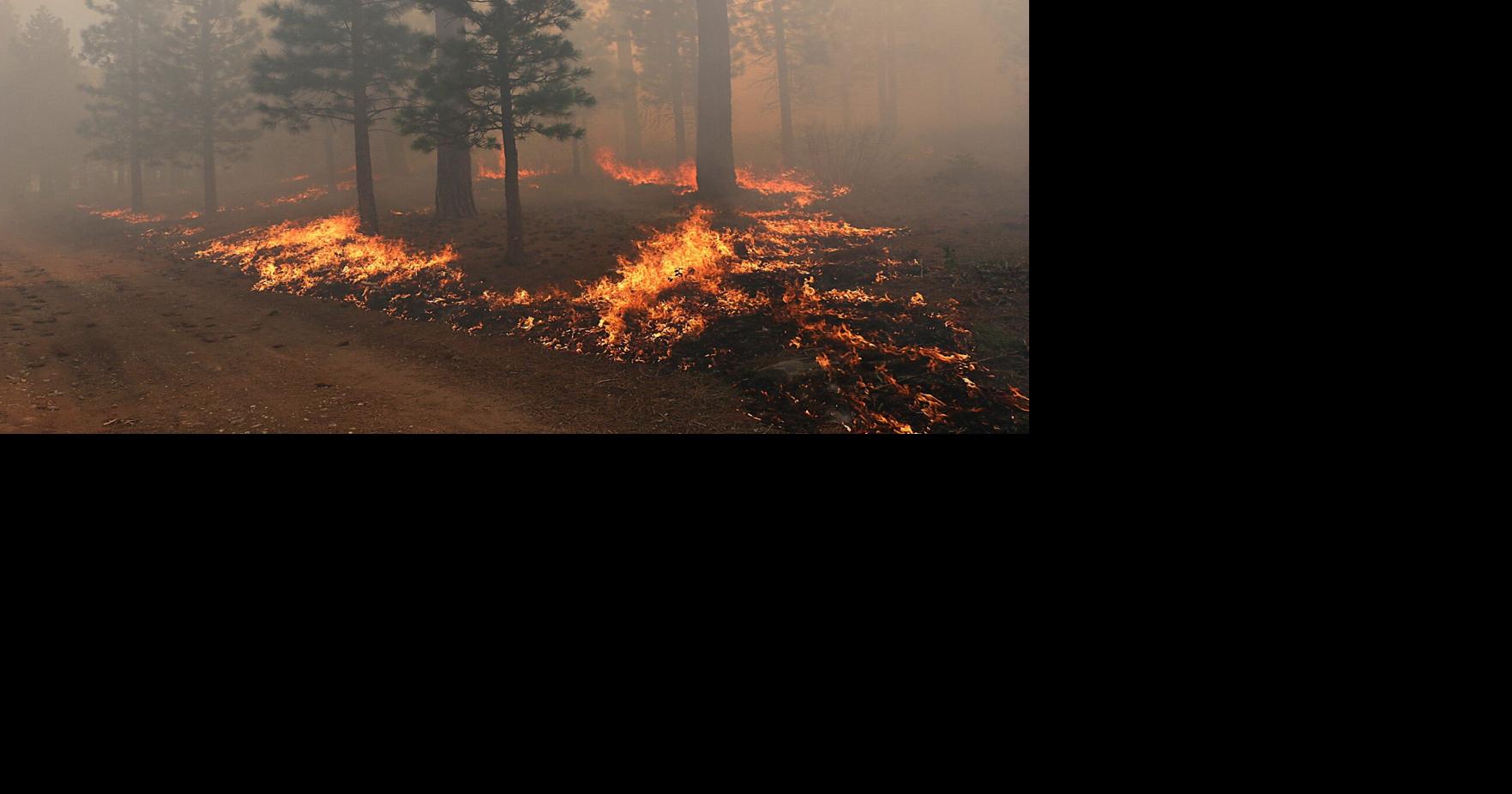 Flames consume undergrowth during a prescribed burn in Dog Valley near Reno on May 7, 2025.
