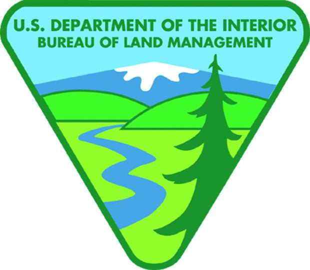 BLM logo