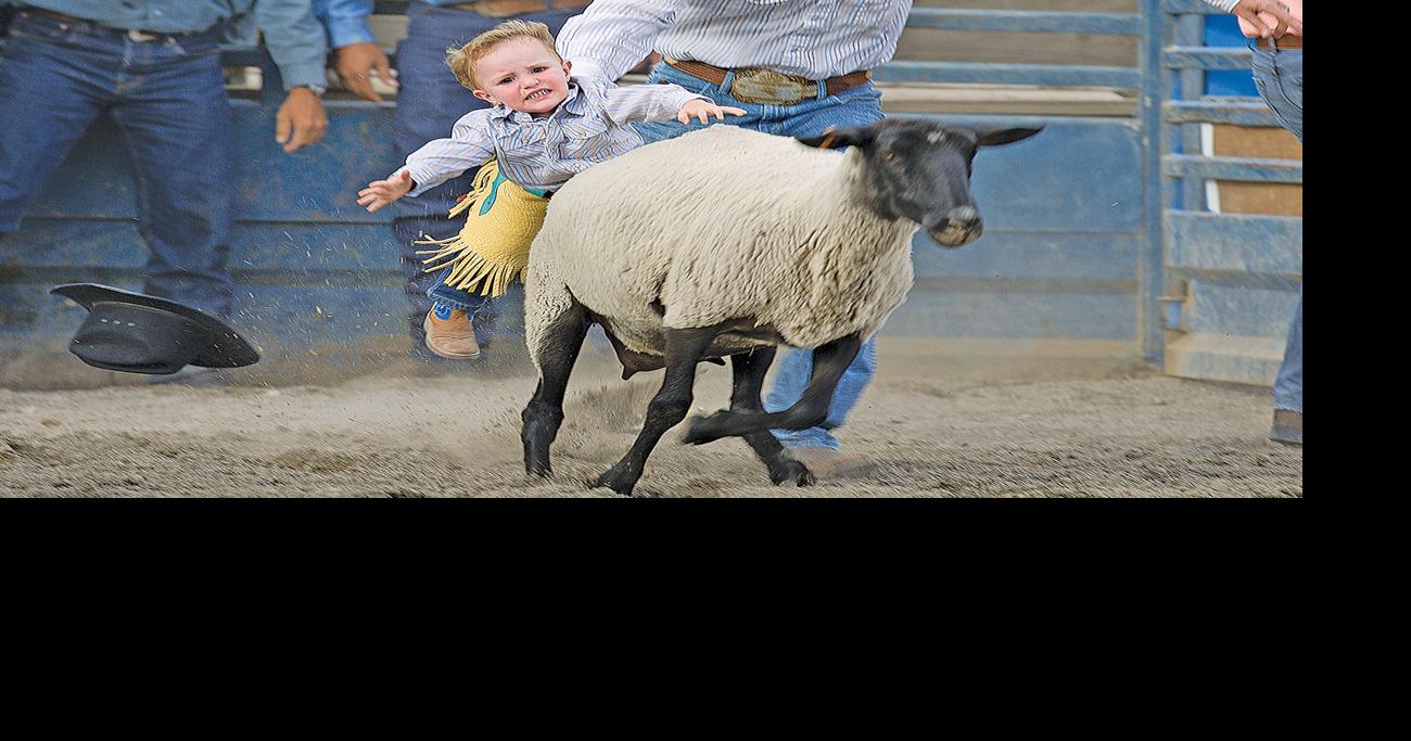 Silver State Stampede continues today 