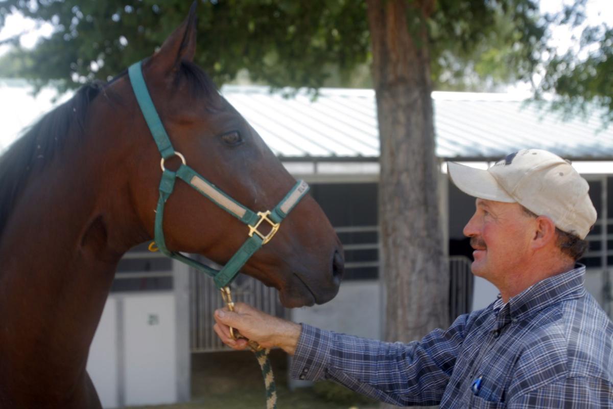 Stables prepare for Blackjack Challenge