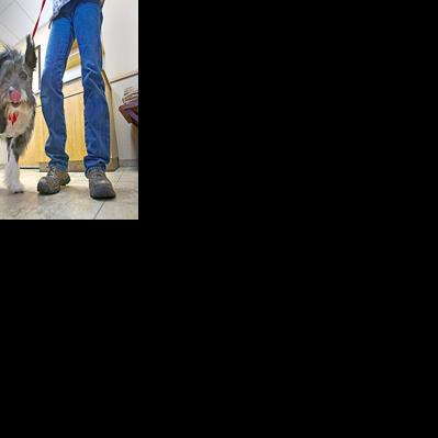 Dog recovers from gunshot, owner struggles with bill