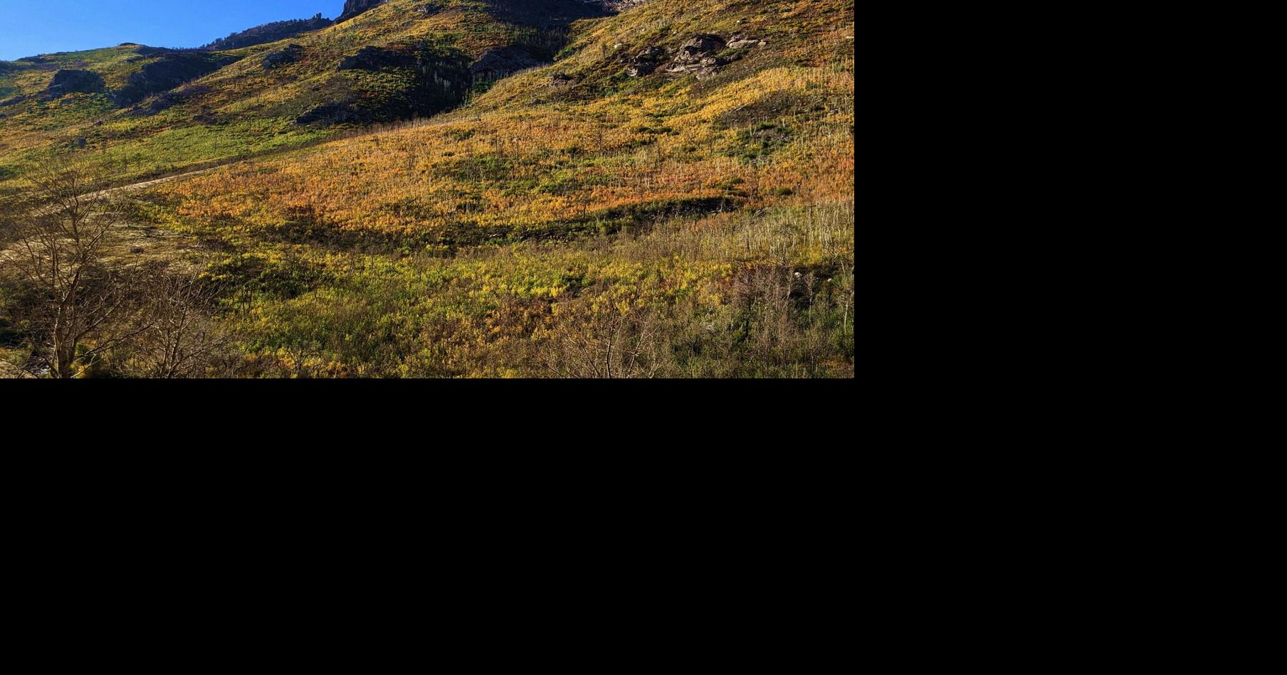 Colors changing in Elko's warm, dry autumn weather