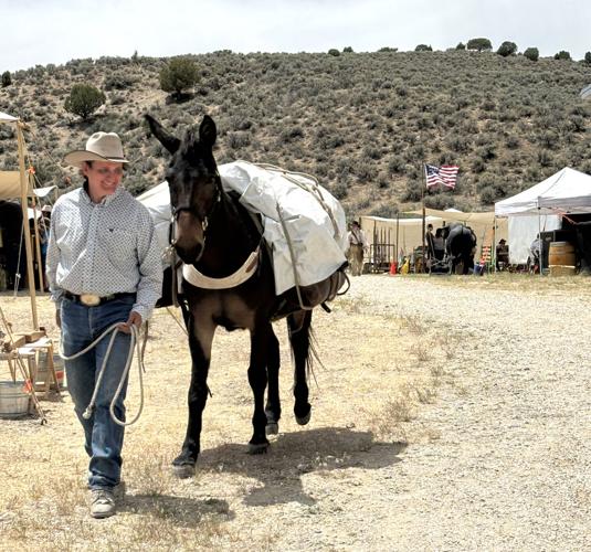 California Trail Days - Pack animal