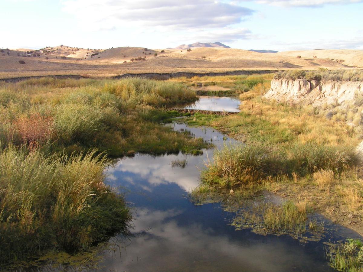 Susie Creek