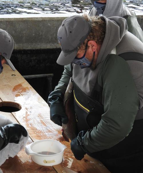 Joe S Fishing Hole Sharpen Your Ice Fishing Technique Outdoors Elkodaily Com