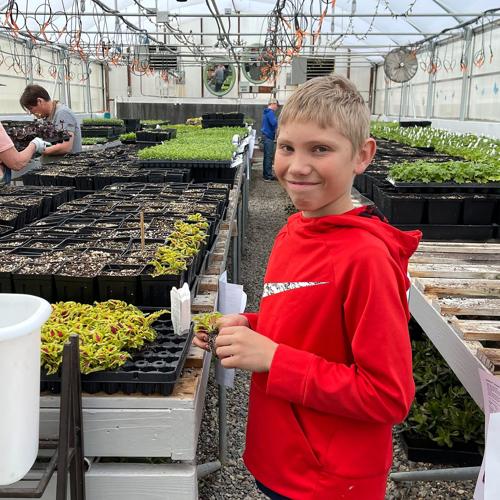 2 Wild Poppies - Boy working in greenhouse