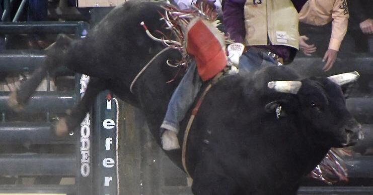 Reno Rodeo says it doesn't believe bull's name was meant as racial slur