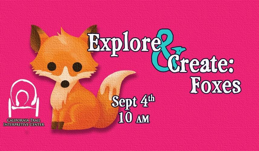 Explore and Create: Foxes