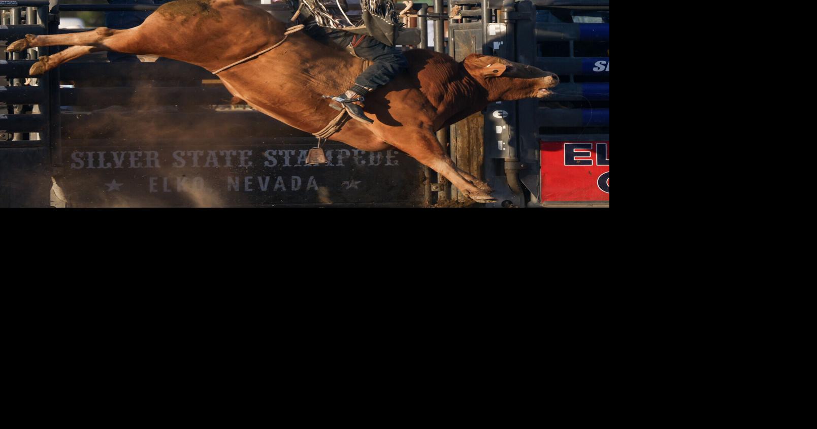 Eyer Morrison is 8th in PRCA standings after Waco, Texas win