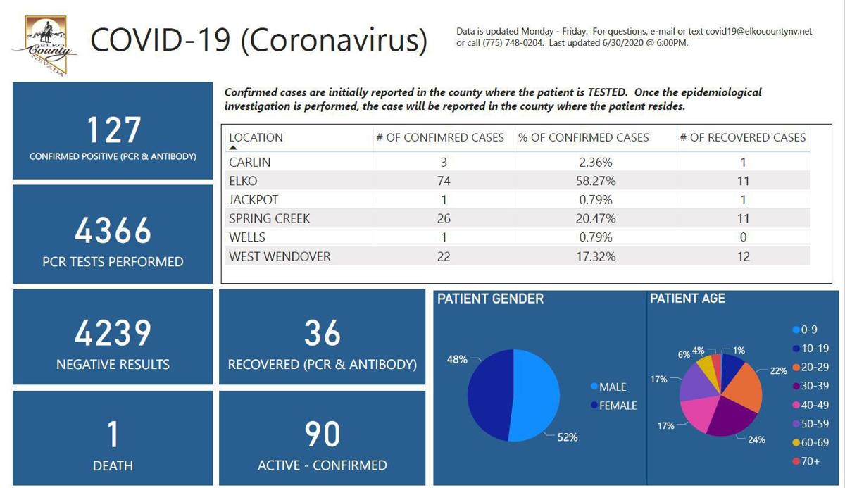 Elko County coronavirus cases
