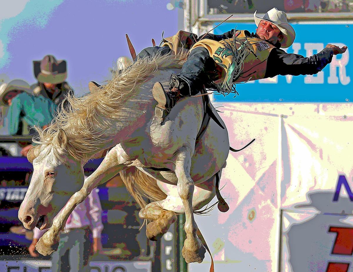 Silver State Stampede