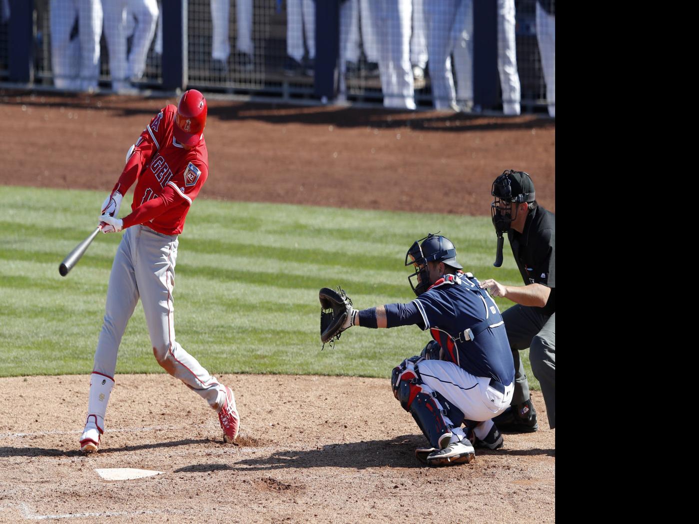 Spring Training Roundup Mariners Ace Hernandez Hit By Liner