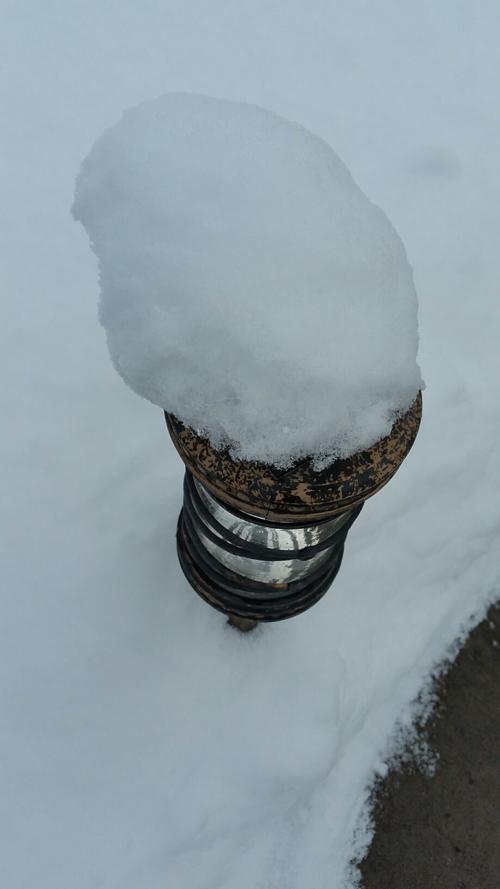 Snow Melts and Causes Flooding