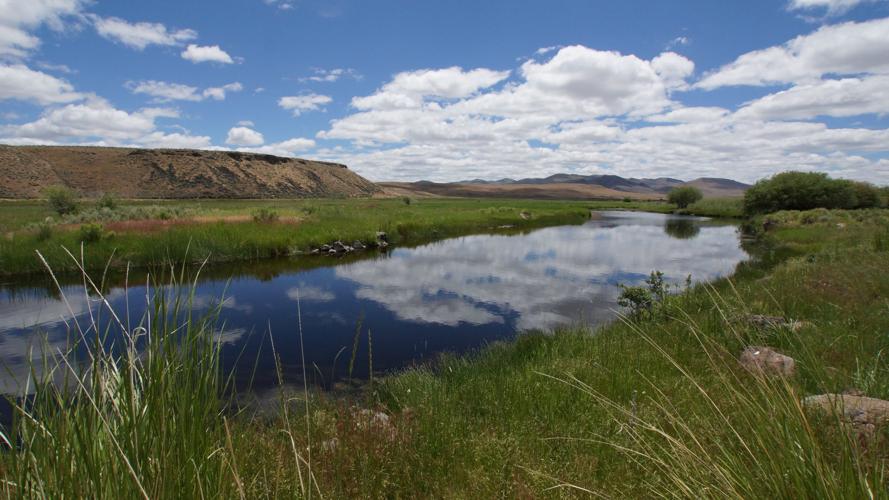 Elko Land & Livestock Co. marks 40th year