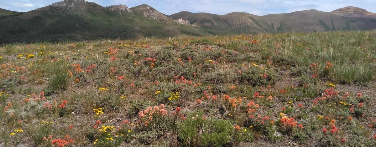 New access easement opens route to public lands in Kelsaw Canyon