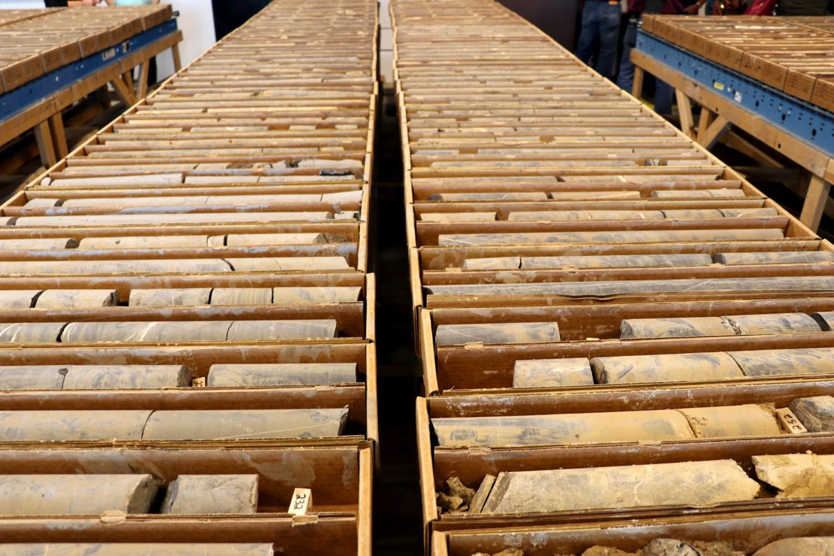 Gold Standard Ventures - Core samples