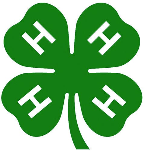 National 4H Week celebrated online