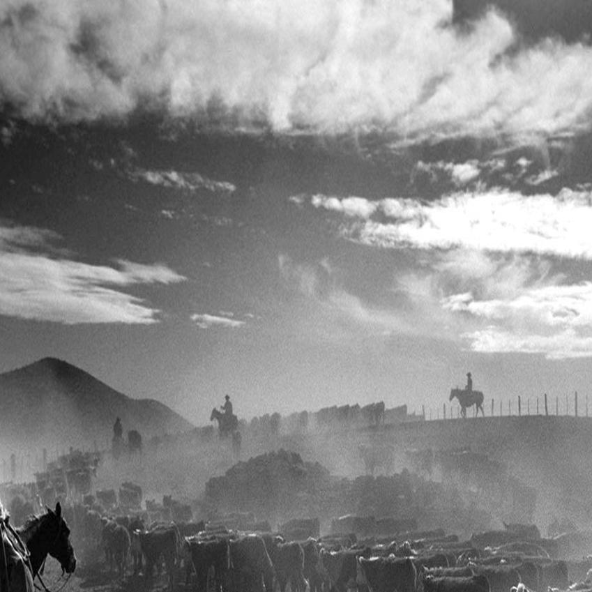 Open Range Photo Book Portrays Authentic Cowboy Life